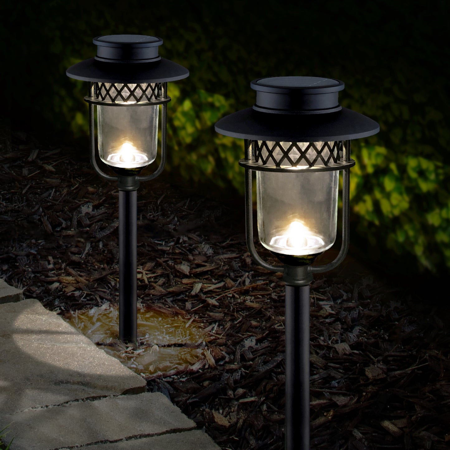 solar pathway lights 2 pk