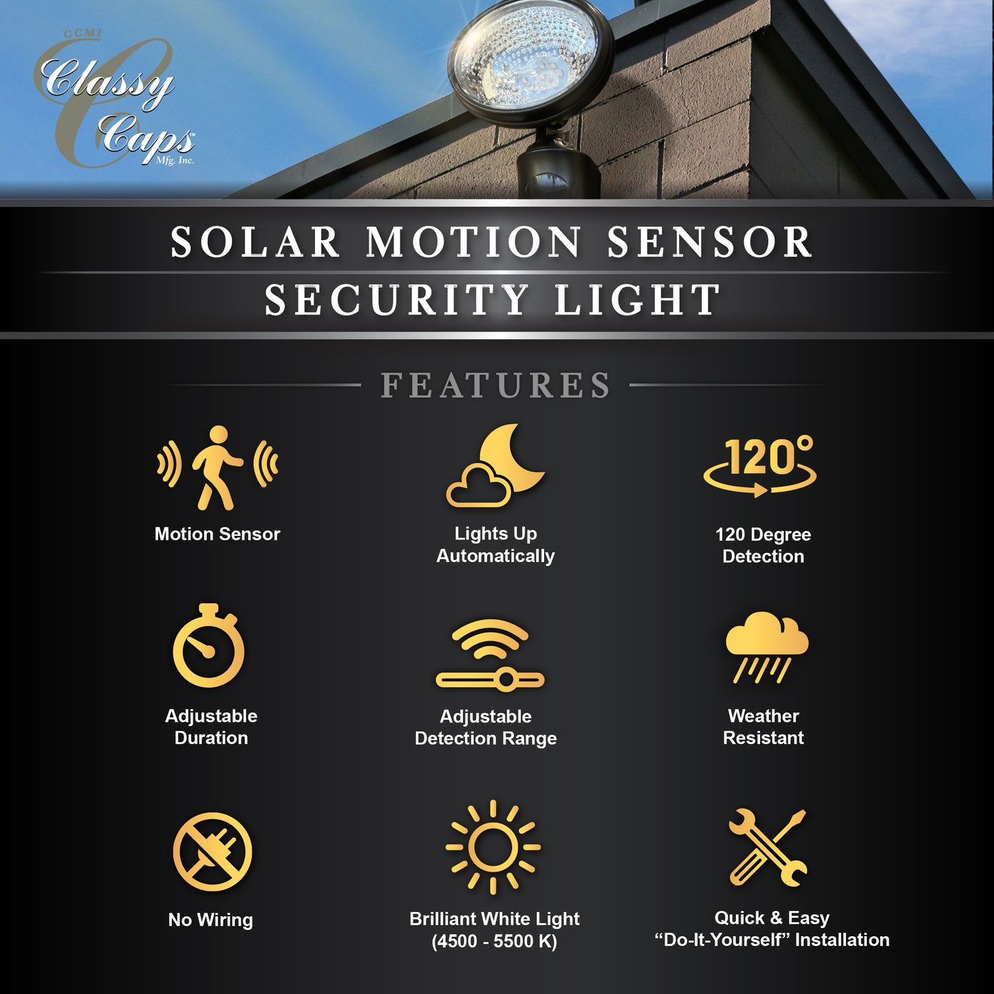 Solar Motion Sensor Light